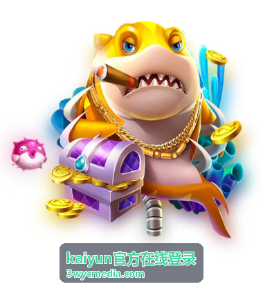 kaiyun官方在线登录账号登录流程指引封面
